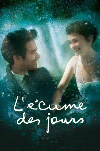 Ecume Des Jours